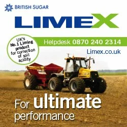 LimeX Ad